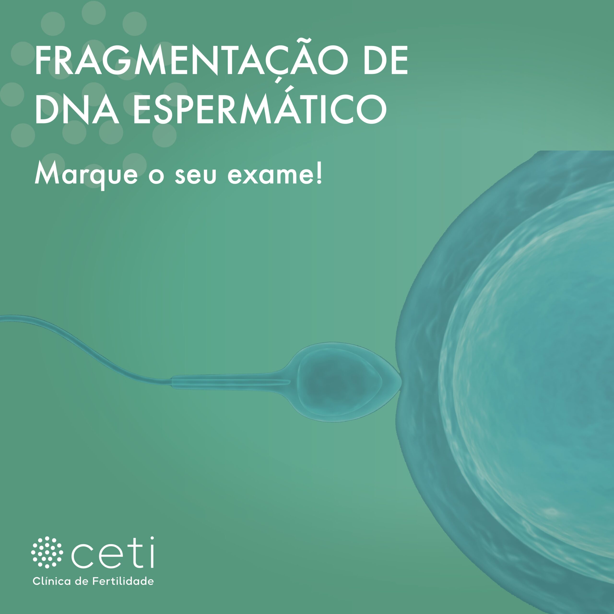 Fragmentação de DNA Espermático